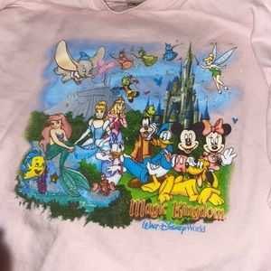 Disney Pink Magic Kingdom Sweatshirt adult large